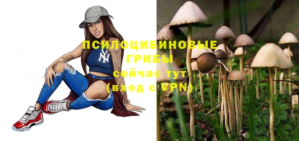 a pvp Алзамай