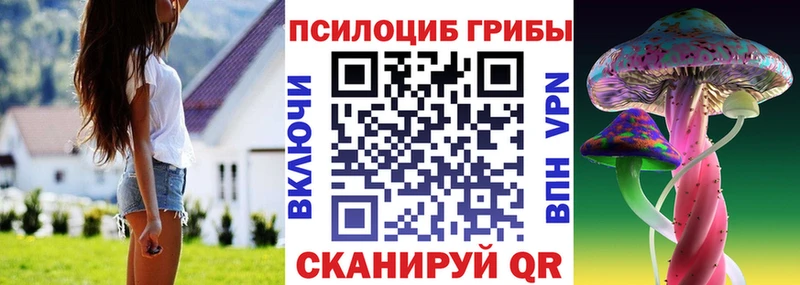 Галлюциногенные грибы мицелий Курчалой